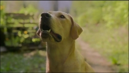 Blue Skies - Season 01 Episode 01